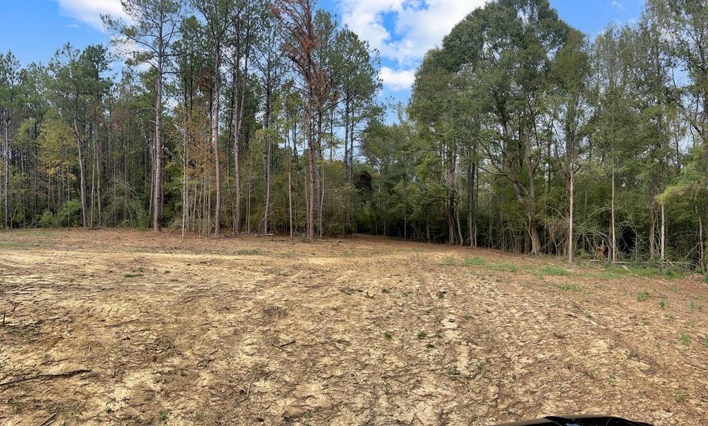 Lot 3 HIDDEN HILLS Drive