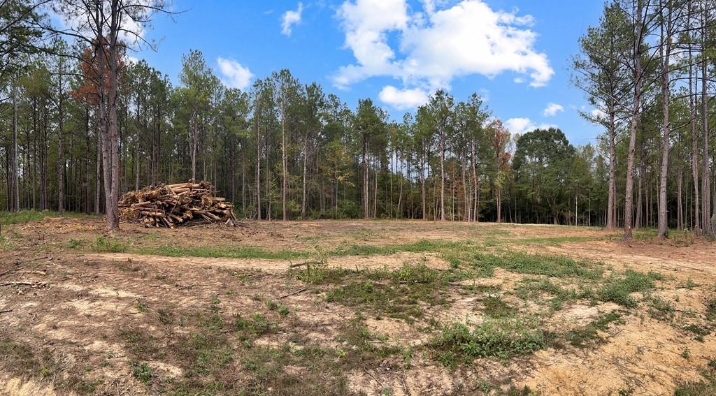 Lot 3 HIDDEN HILLS Drive