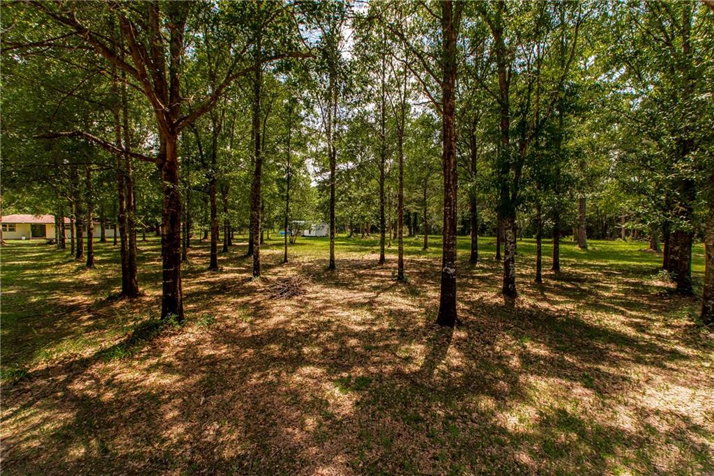 10469 HWY 1075 Highway