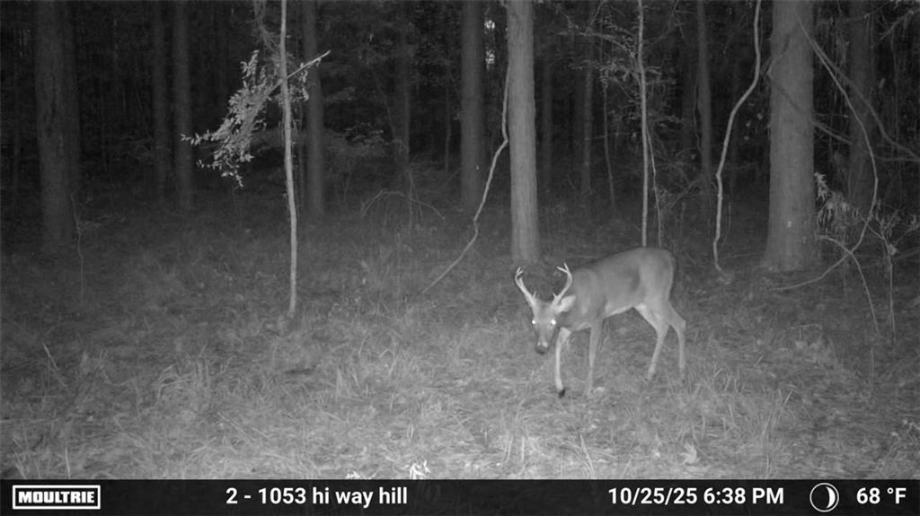 3806 UNION CHURCH Road