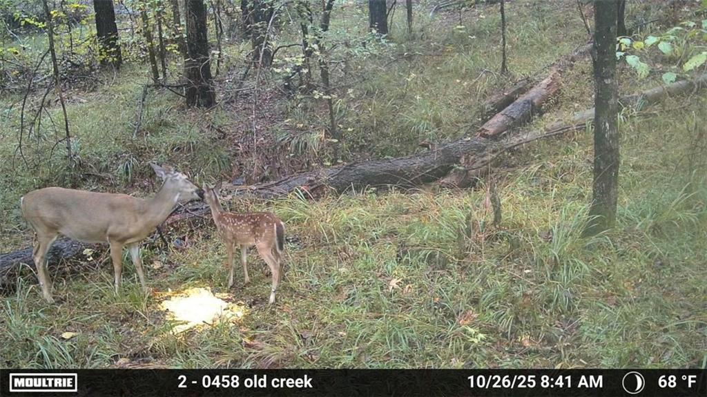 3806 UNION CHURCH Road