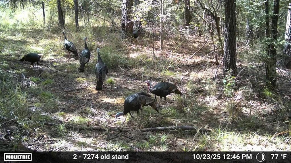 3806 UNION CHURCH Road