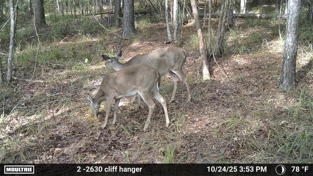 3806 UNION CHURCH Road