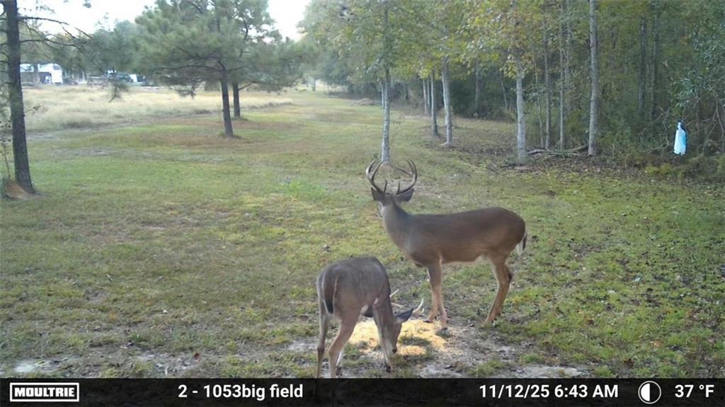 16372 ELMO BICKHAM Road