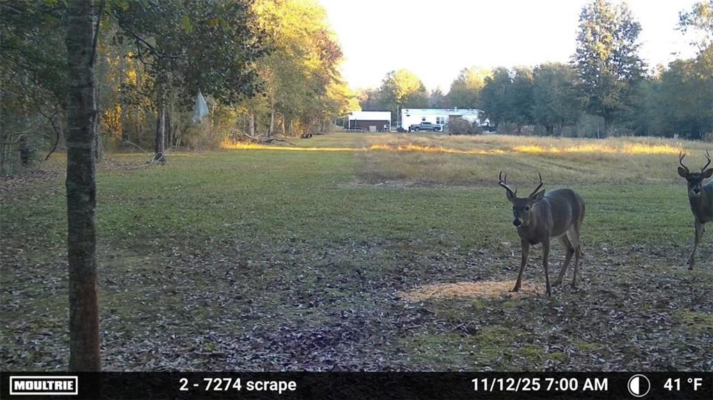 16372 ELMO BICKHAM Road