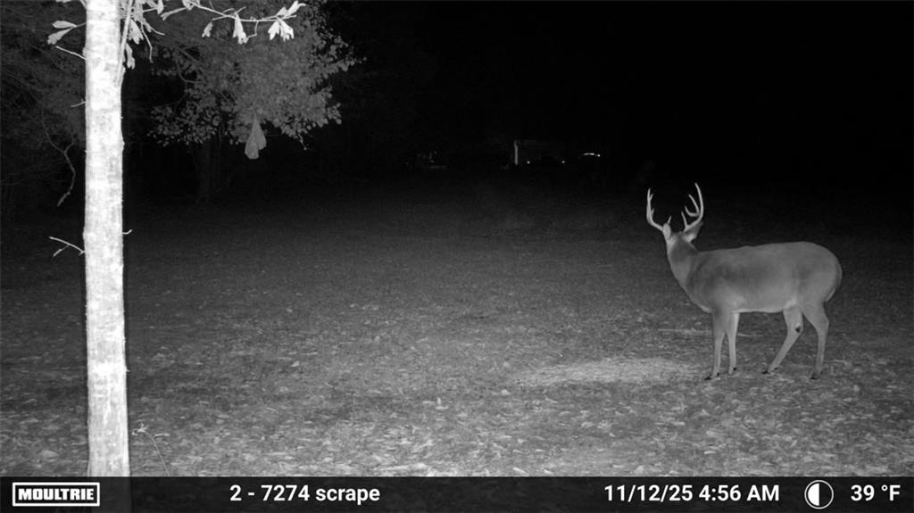 16372 ELMO BICKHAM Road