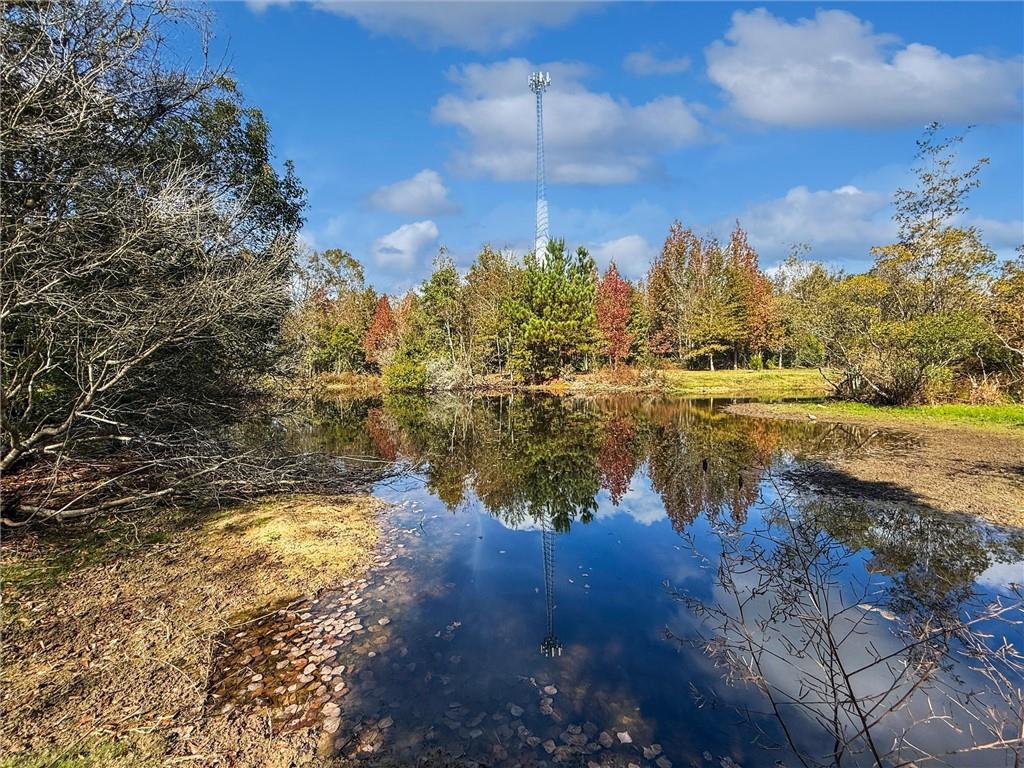 16372 ELMO BICKHAM Road