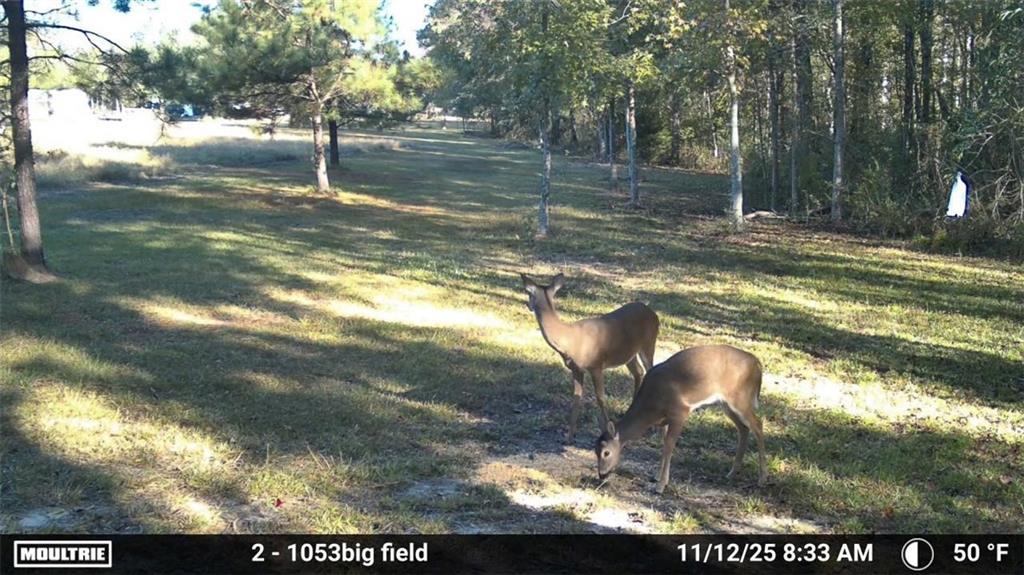 16372 ELMO BICKHAM Road