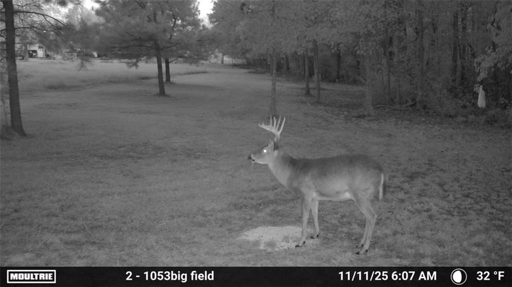 16372 ELMO BICKHAM Road