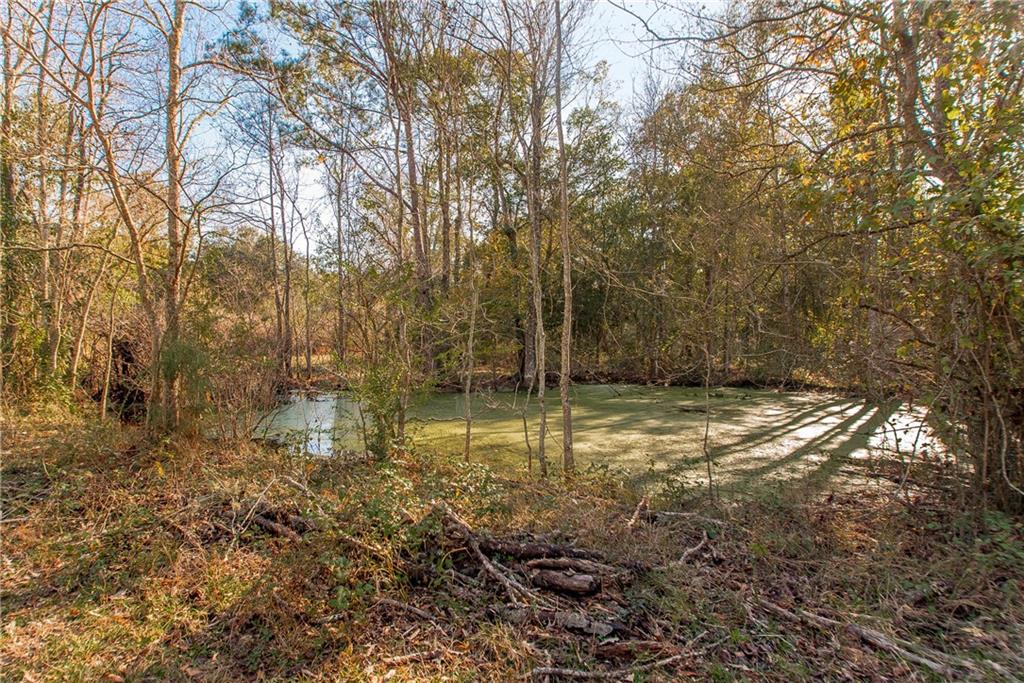 34238 EDGAR KENNEDY Road