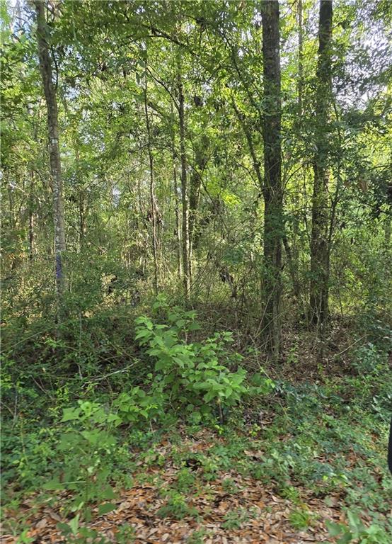 30473 COUNTRY Lane