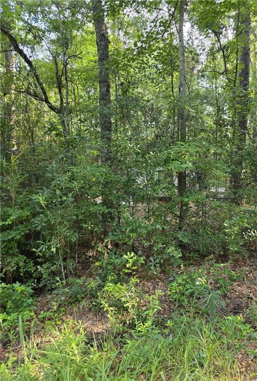 30473 COUNTRY Lane