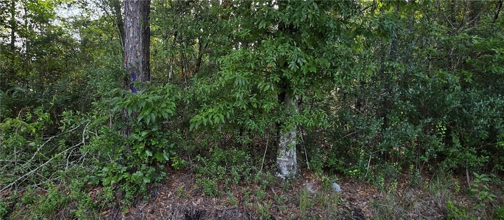 30473 COUNTRY Lane