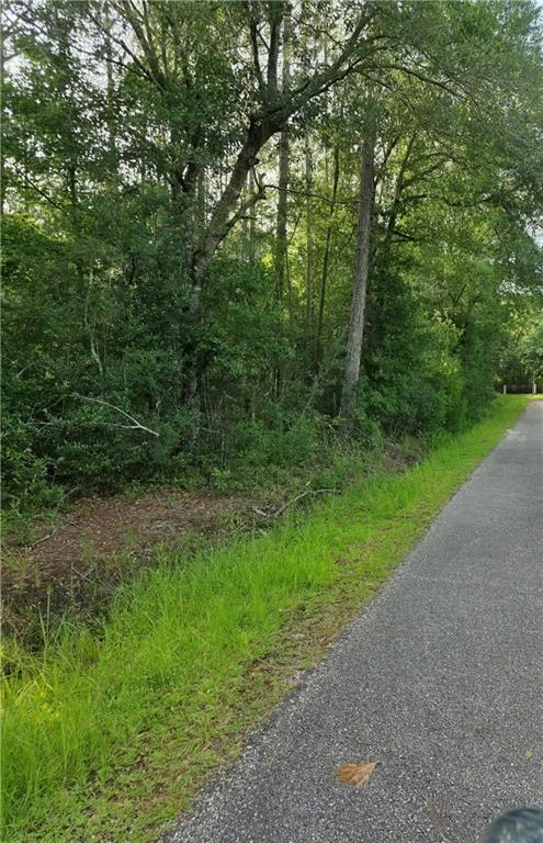 30473 COUNTRY Lane