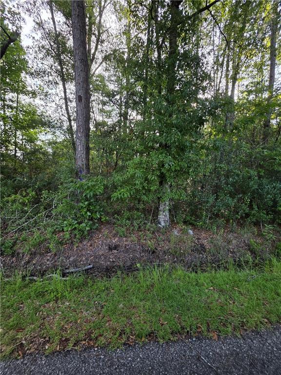 30473 COUNTRY Lane