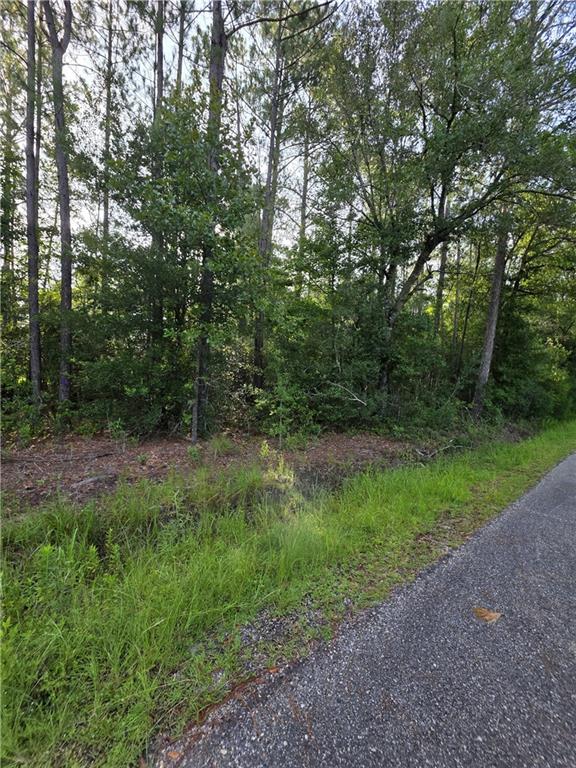 30473 COUNTRY Lane