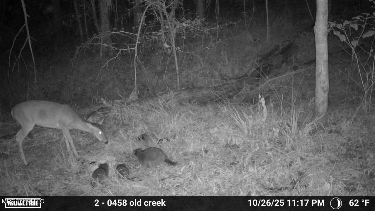 3806 Union Church Road