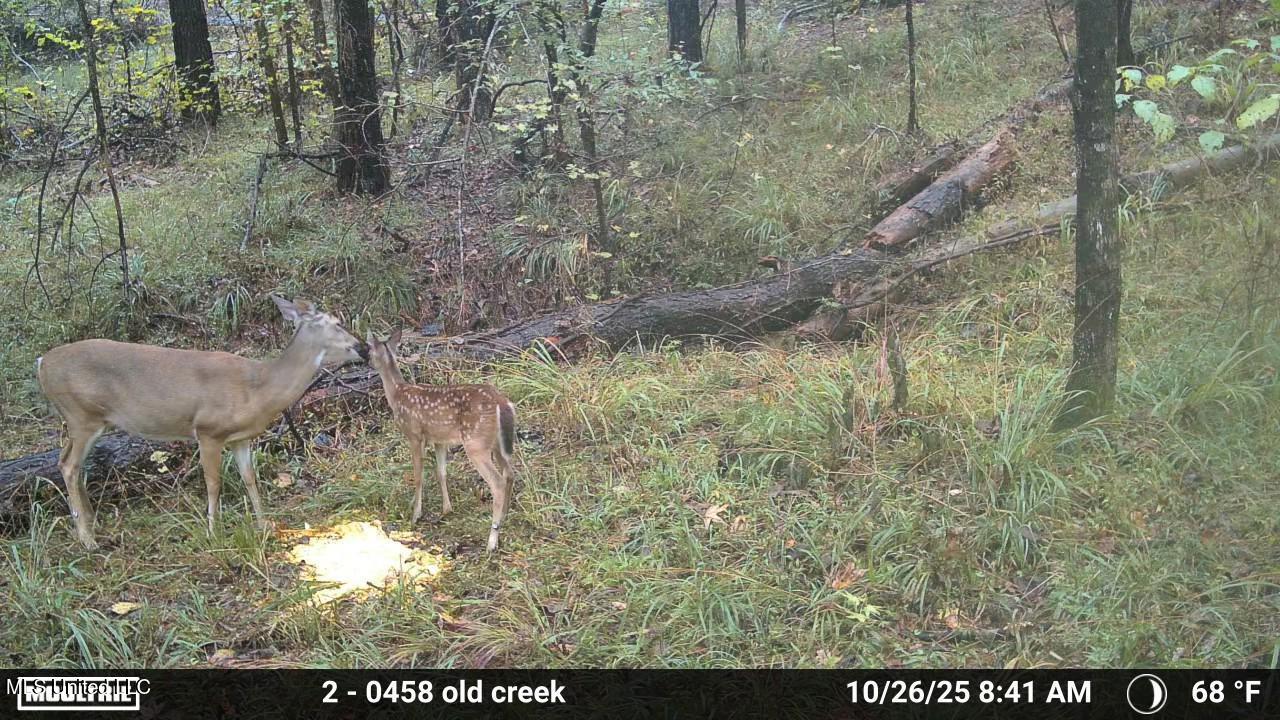 3806 Union Church Road