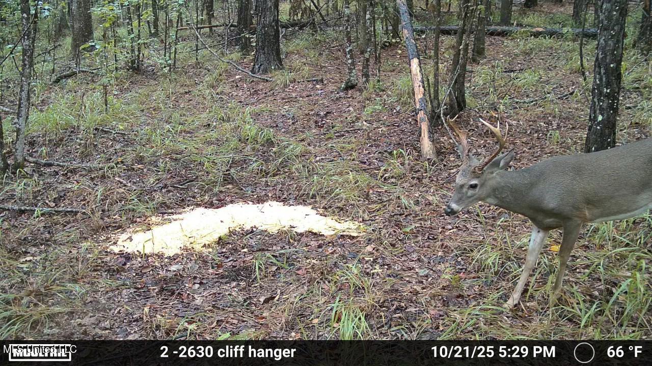 3806 Union Church Road