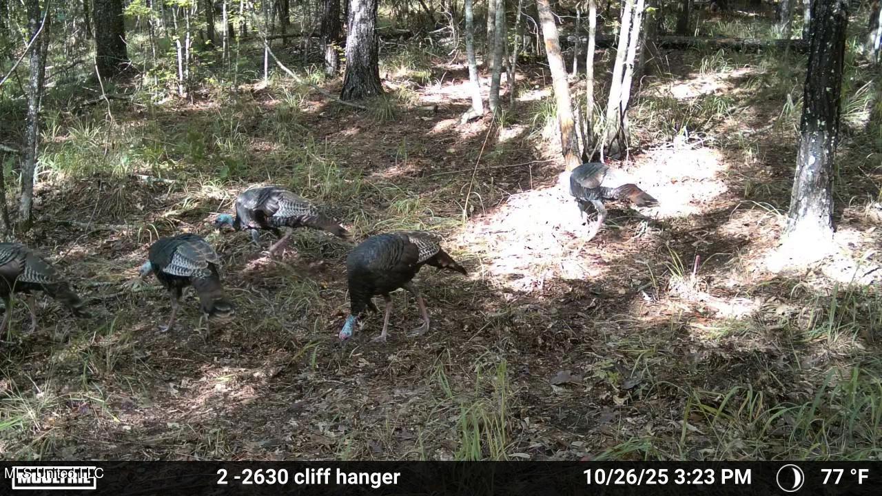 3806 Union Church Road