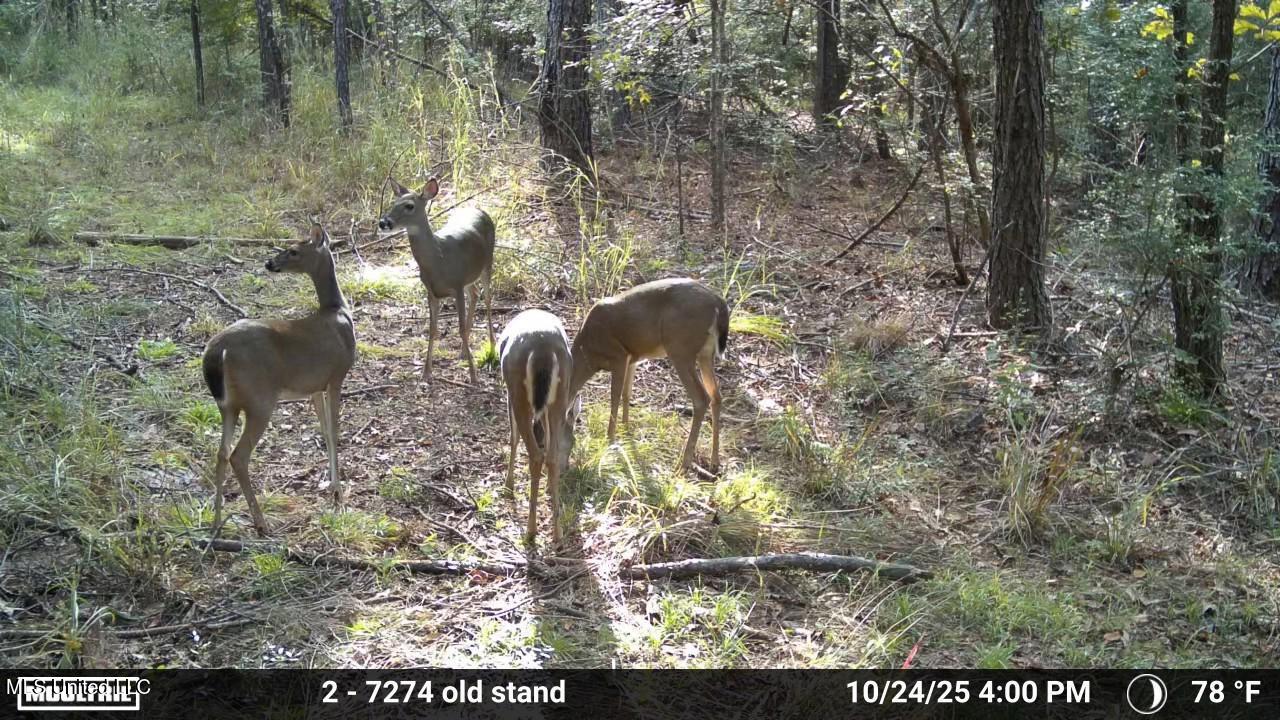 3806 Union Church Road