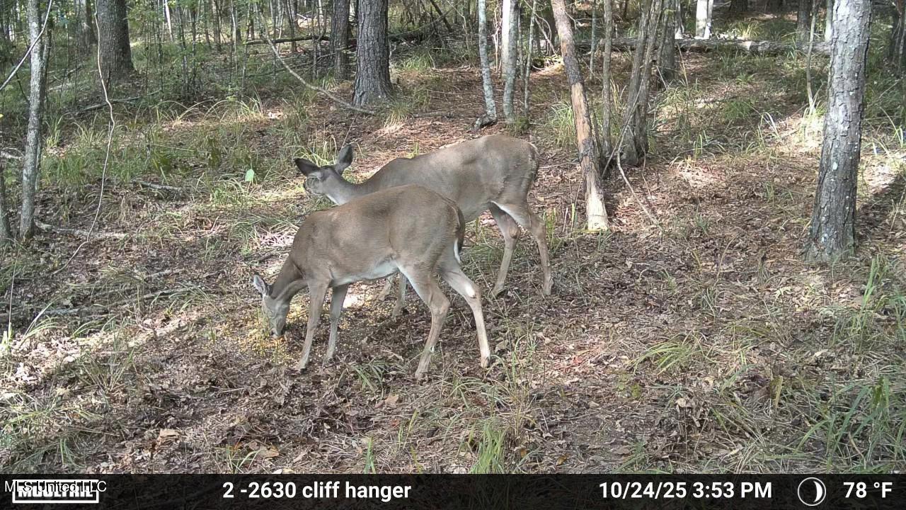 3806 Union Church Road