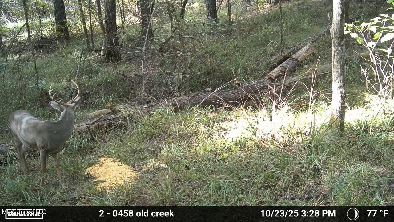 3806 Union Church Road