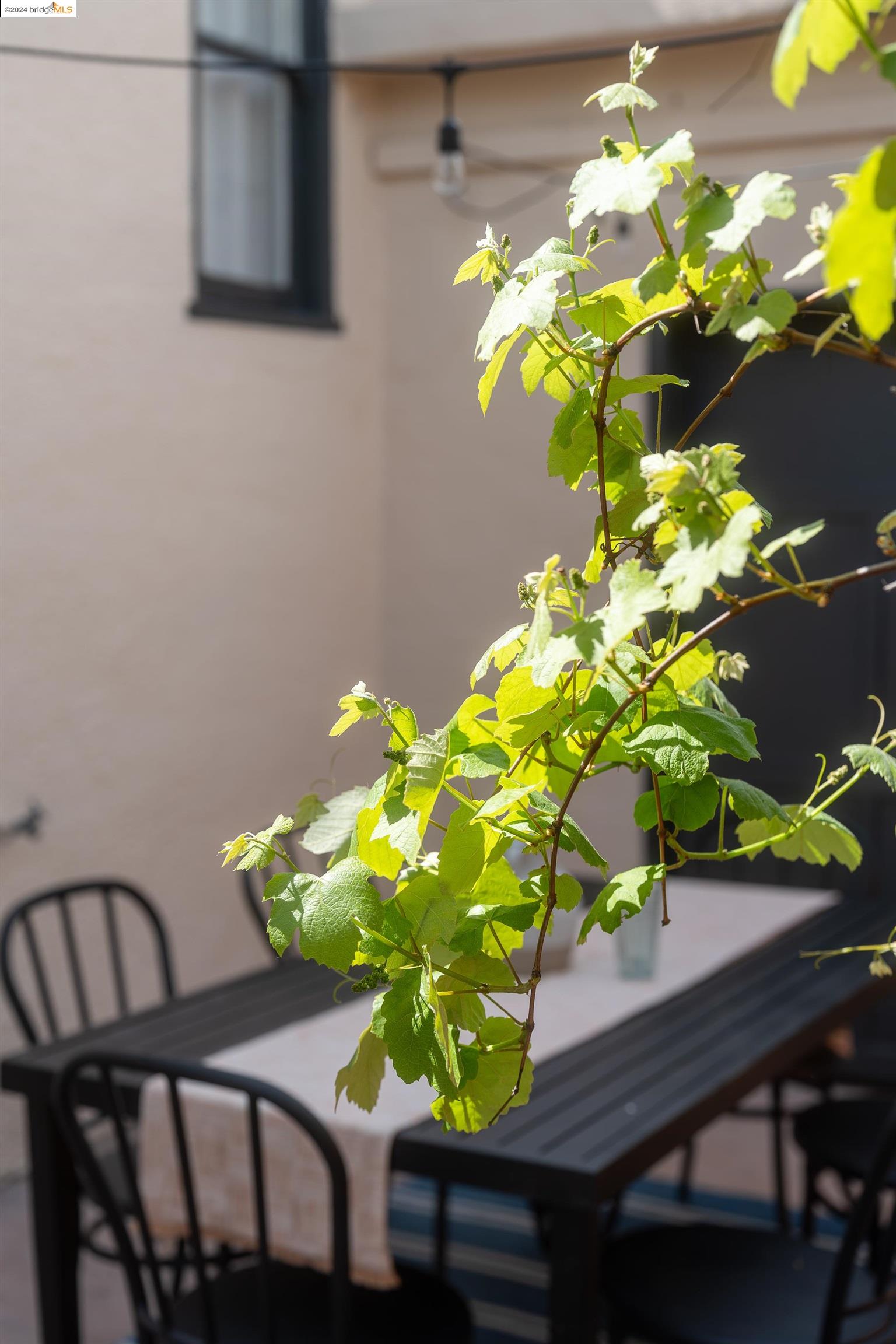 326 W Broadmoor Blvd