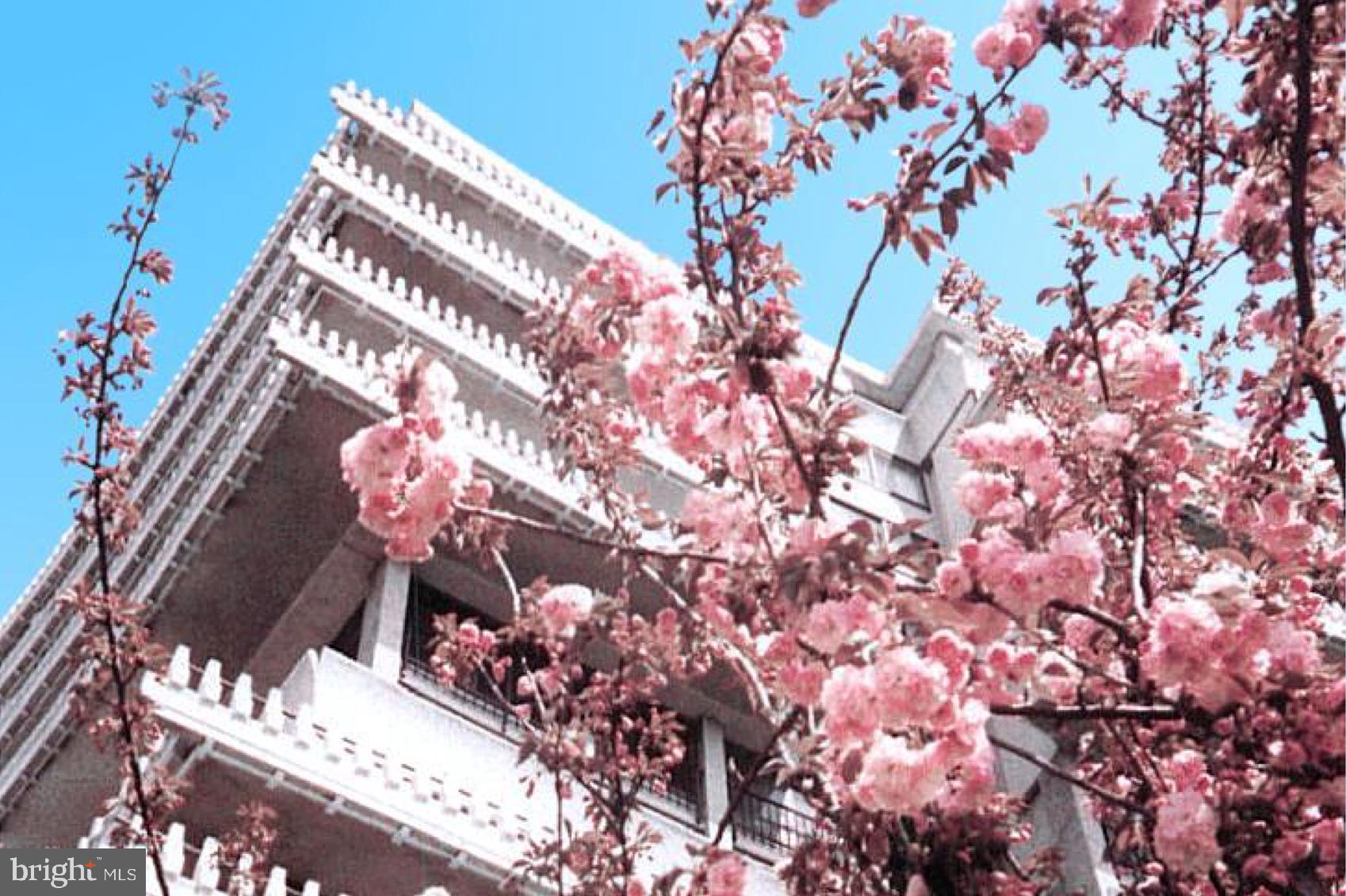 700 New Hampshire Ave NW #1518