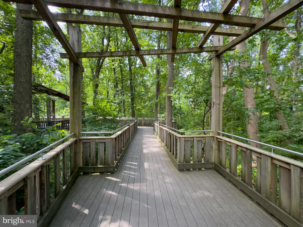 6626 Dorset Dr