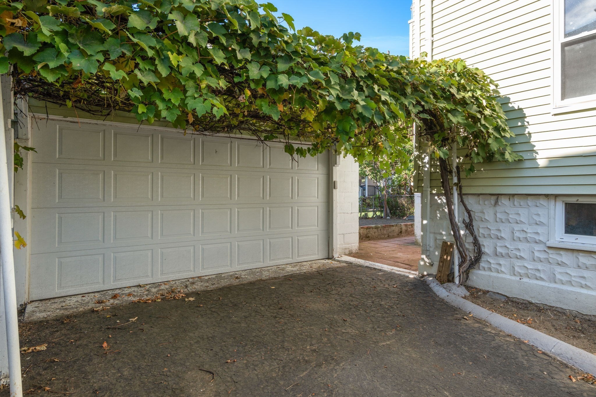 Paneled garage and driveway beneath a leafy grapevine canopy beside a light-sided house.