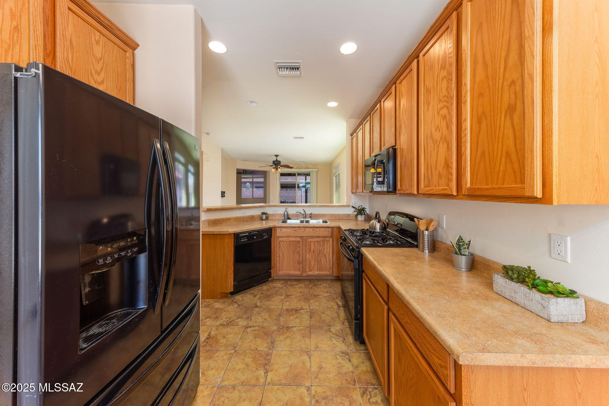 1142 W Pastora Peak Drive