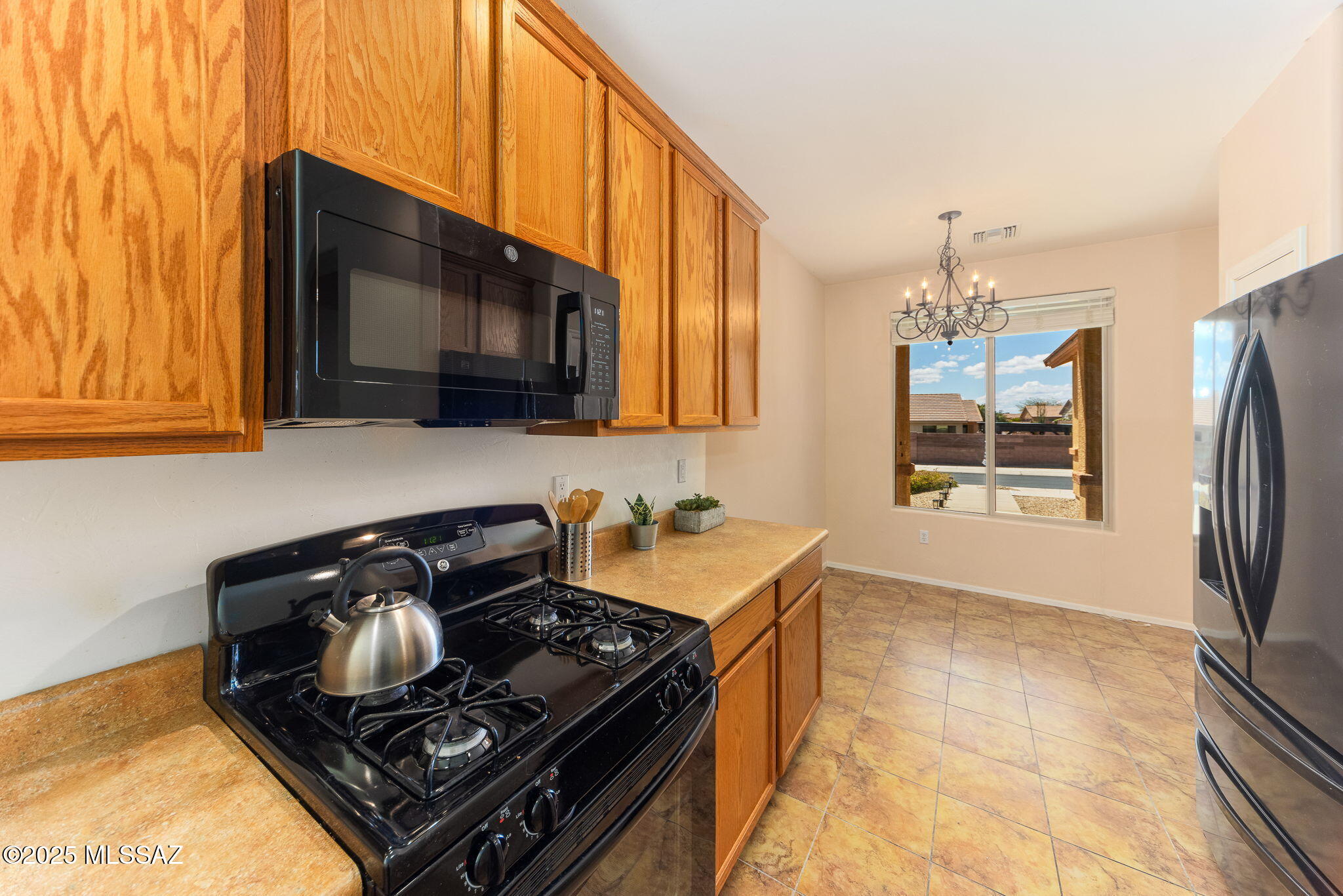 1142 W Pastora Peak Drive