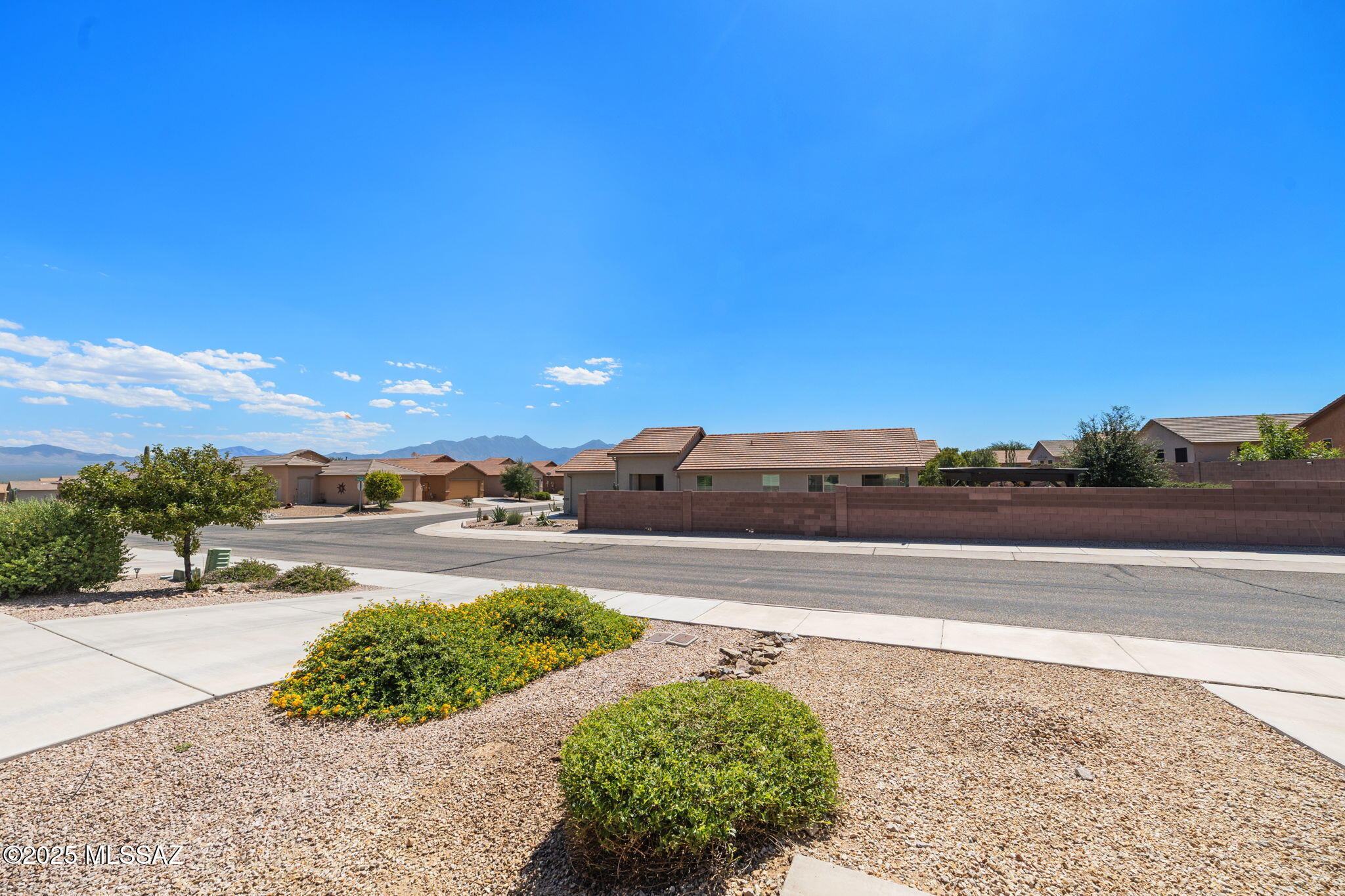 1142 W Pastora Peak Drive