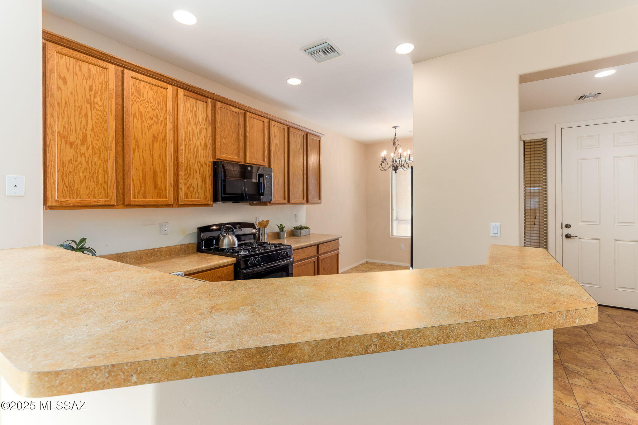 1142 W Pastora Peak Drive