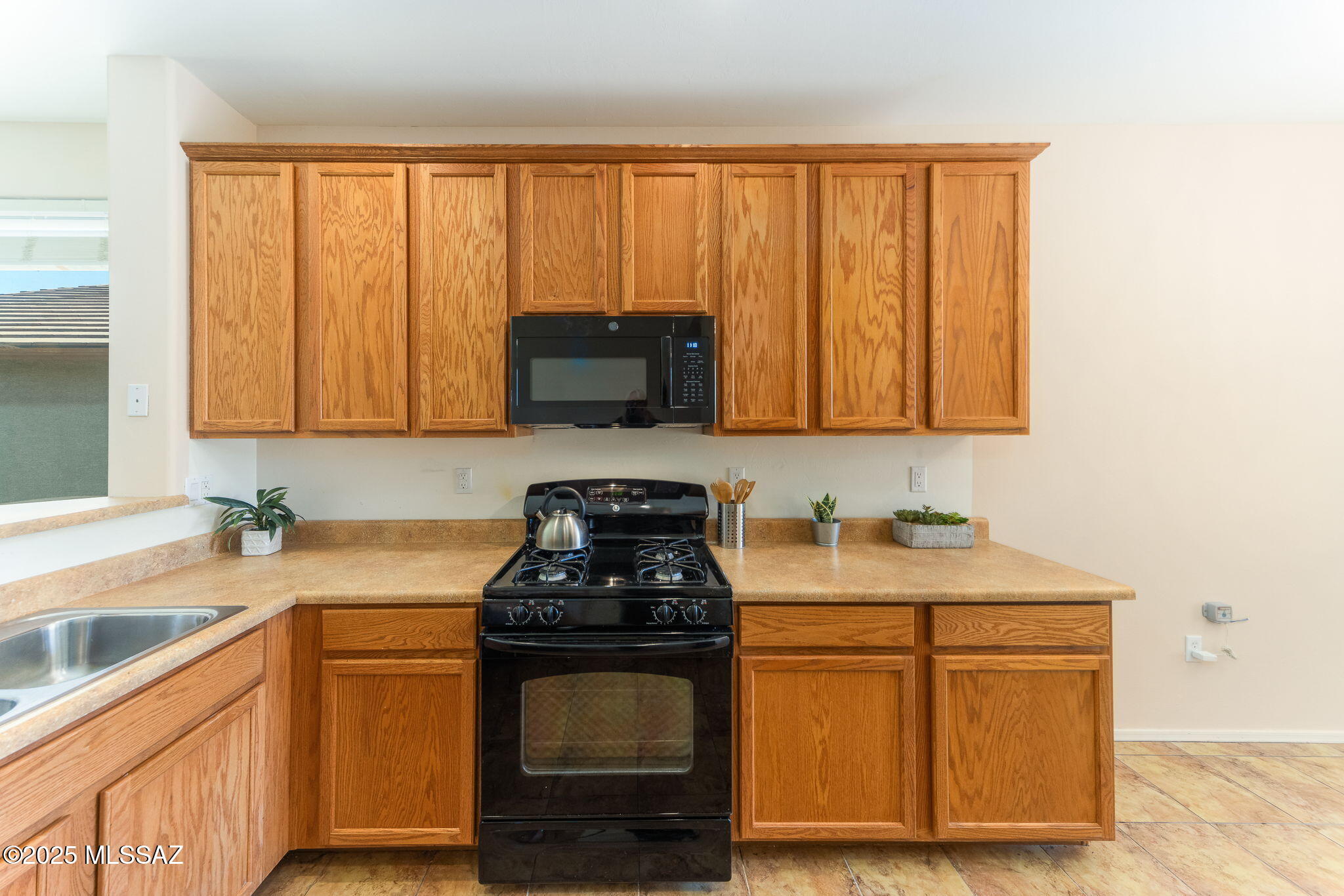 1142 W Pastora Peak Drive