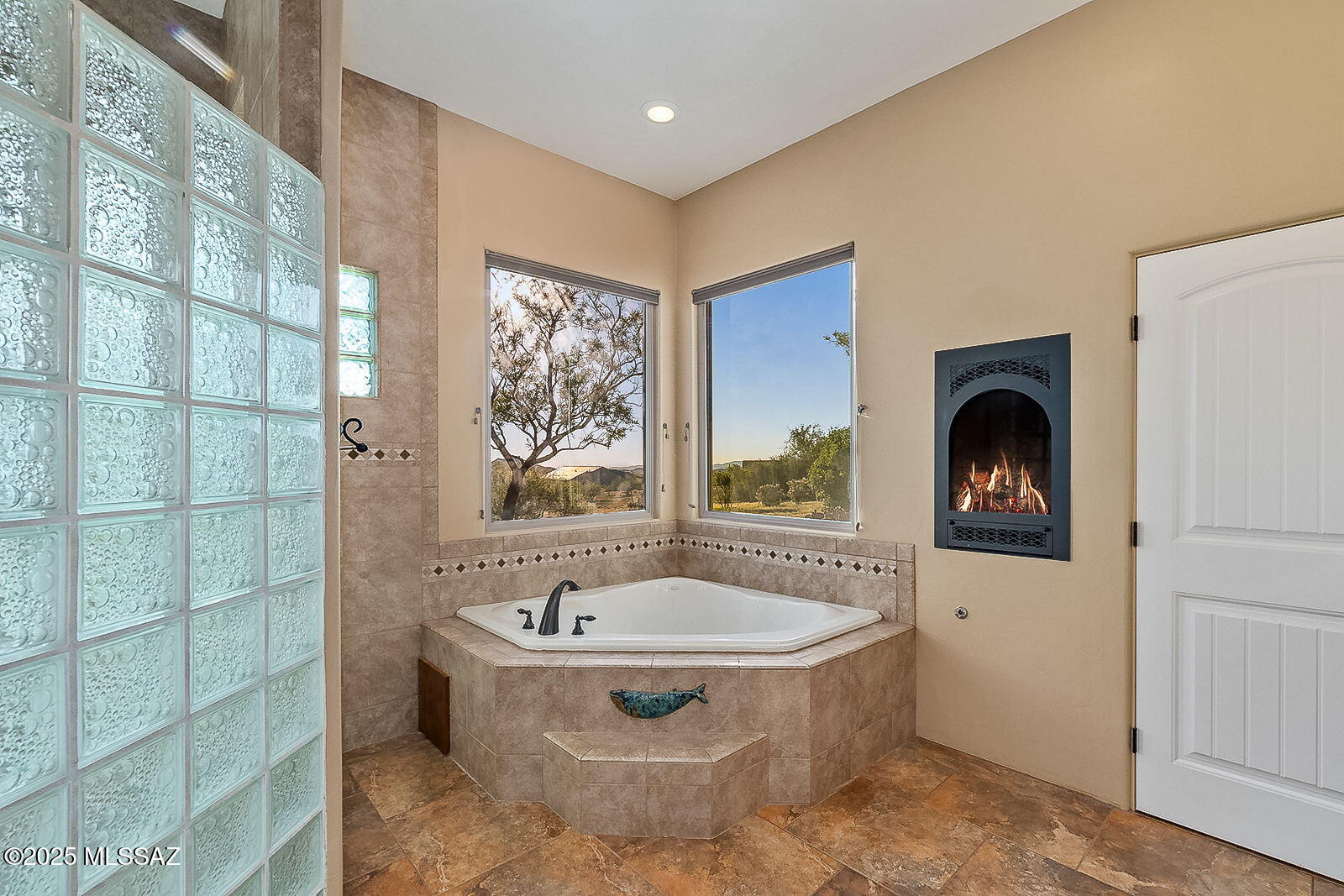 3351 W Horse Ride Loop