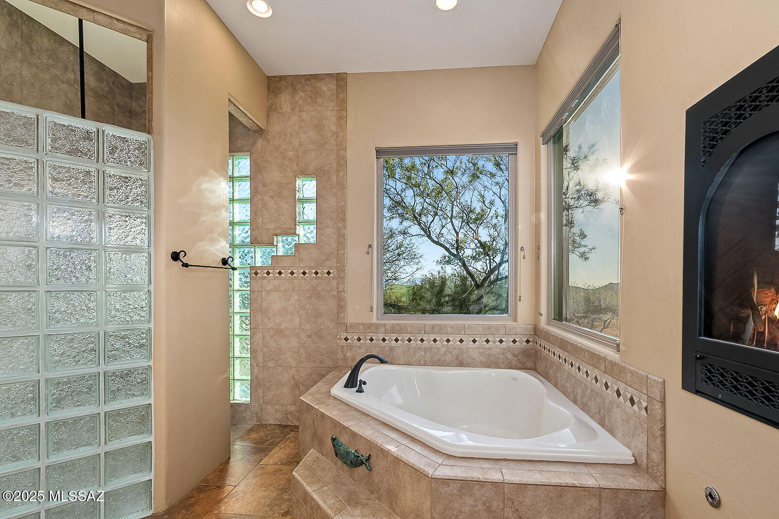 3351 W Horse Ride Loop