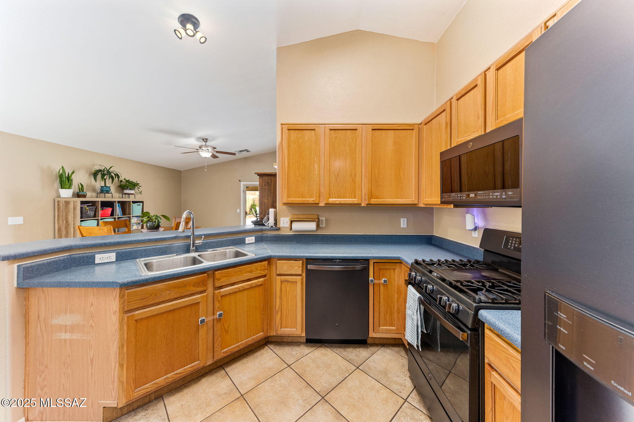 9428 E Marquis Diamond Lane