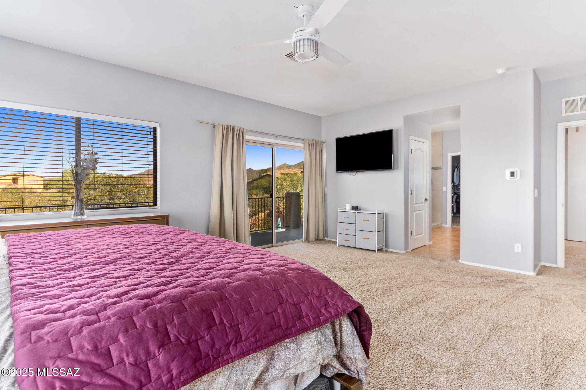 17377 S Indigo Mesa Pass