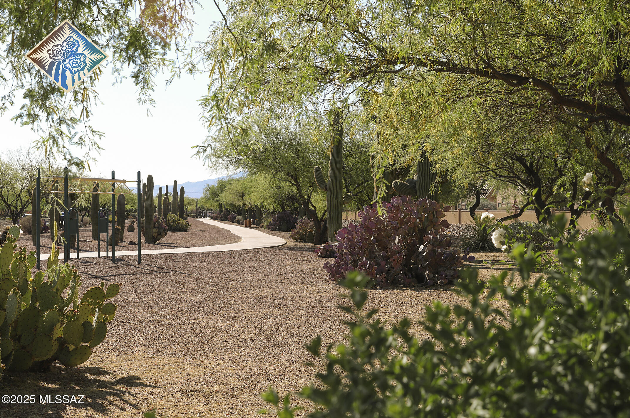 159 E Corte Rancho Colina