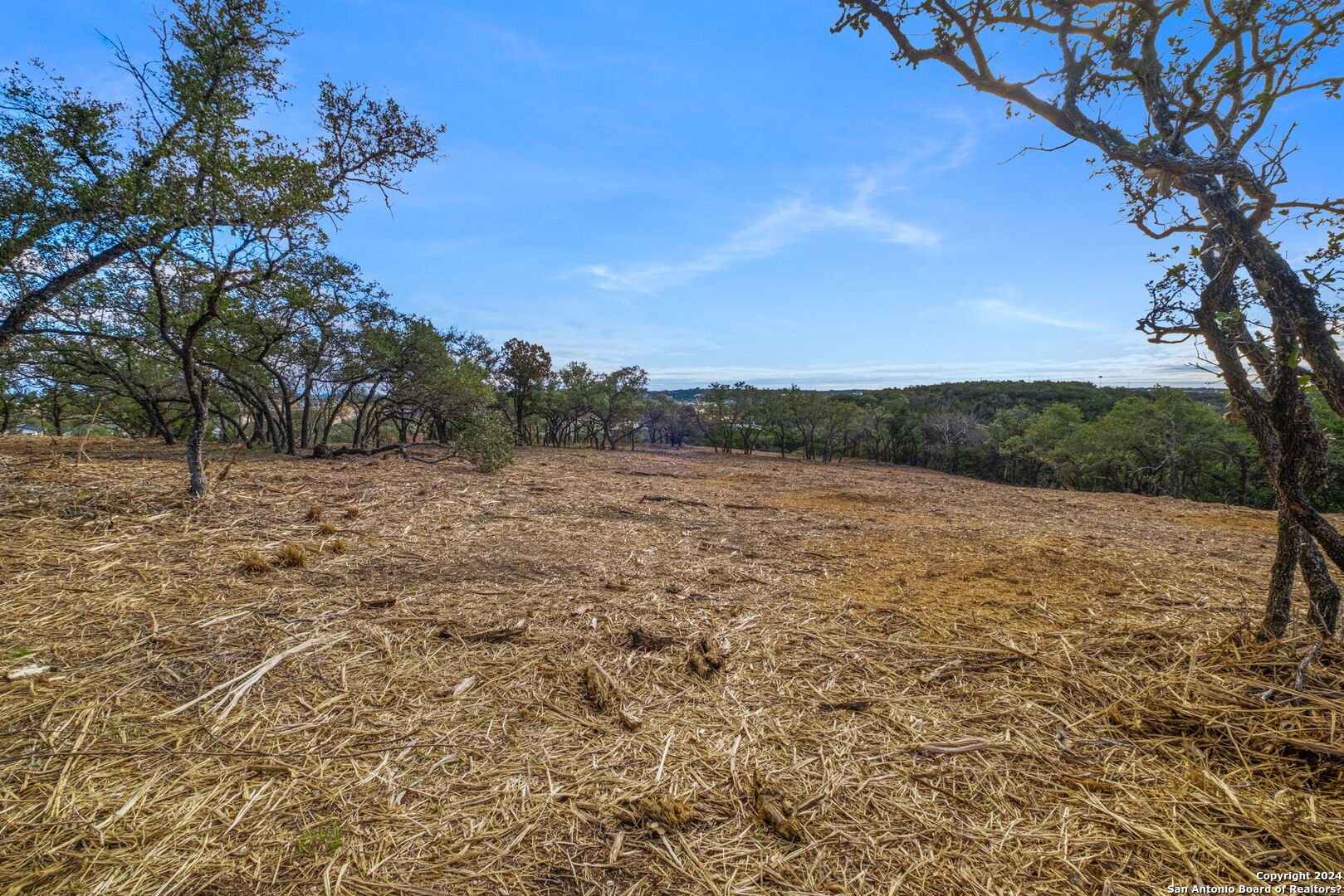LOT 44 Los Altos