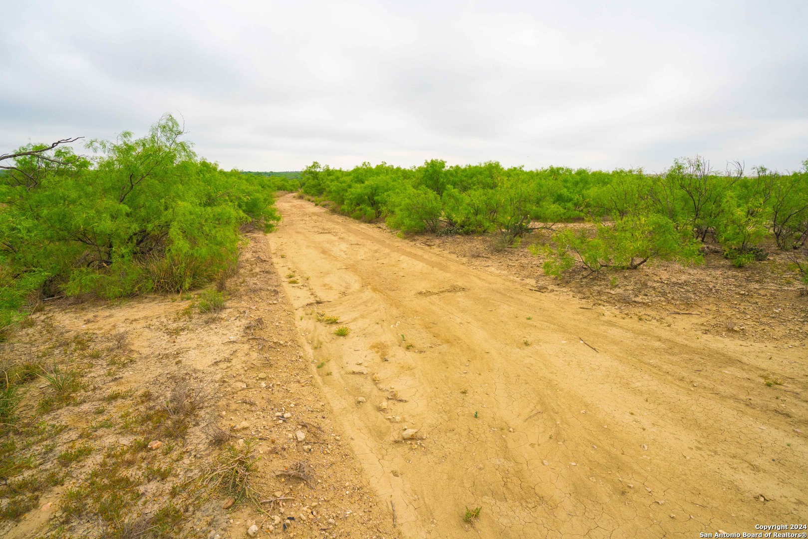 16131 HWY