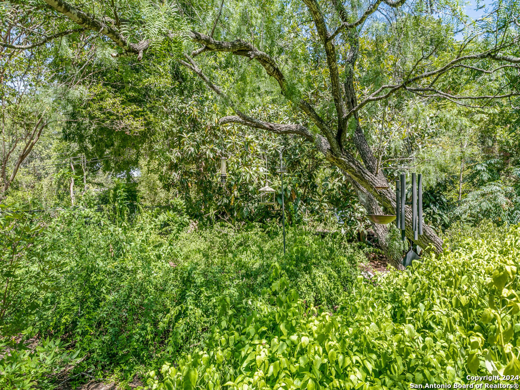 225 LYMAN DR