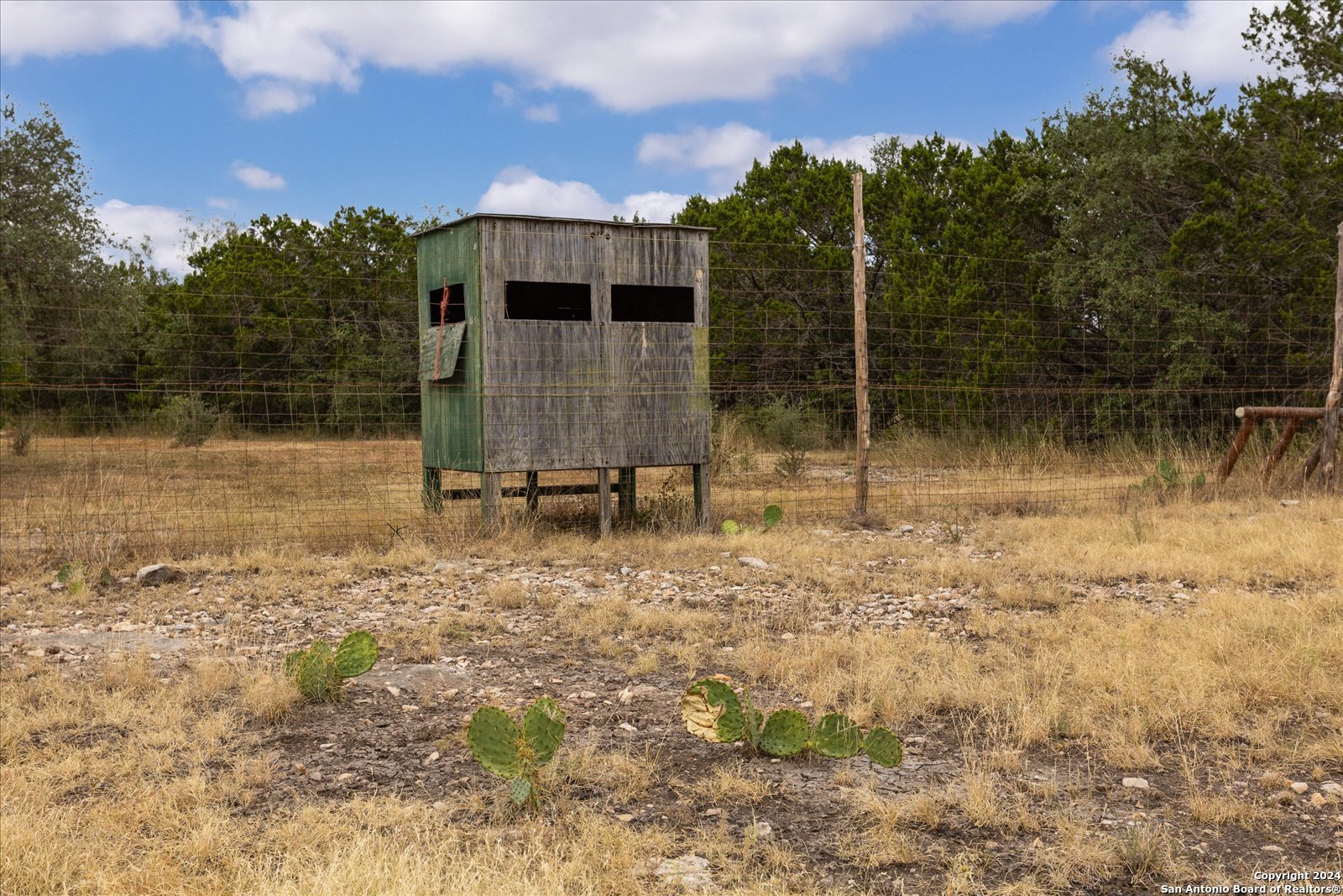 Camp Wood
