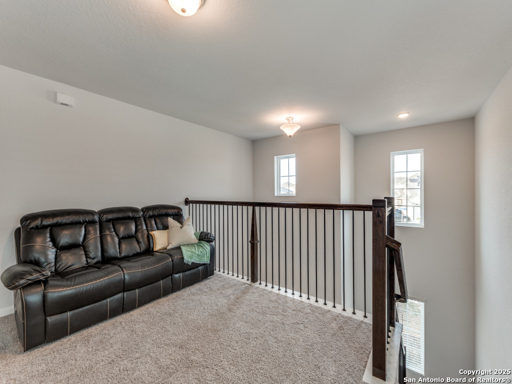 7506 BOXING ELM