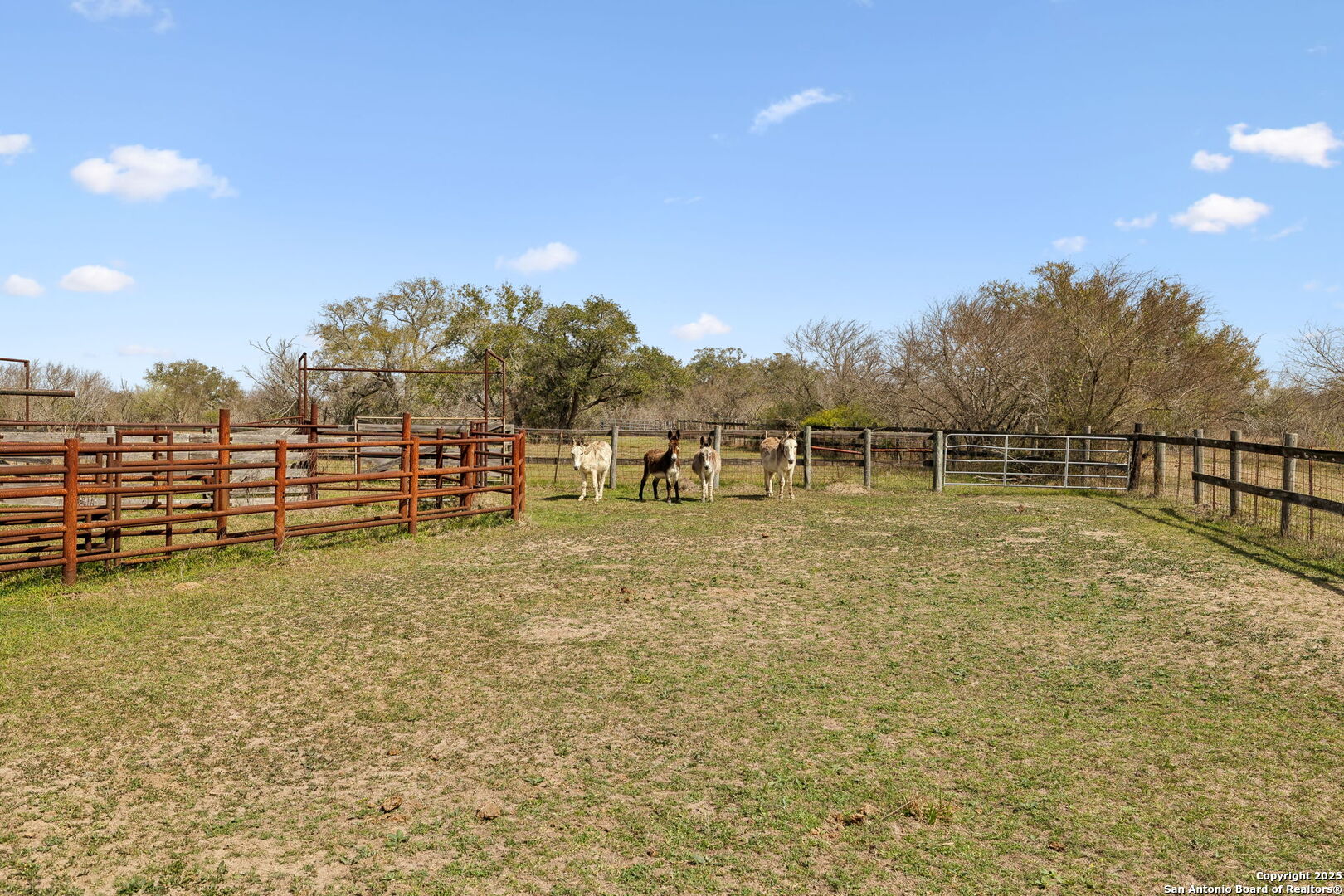868 US Hwy 183
