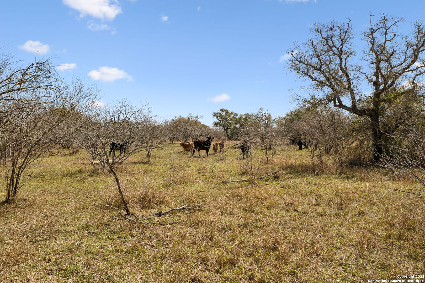 868 US Hwy 183