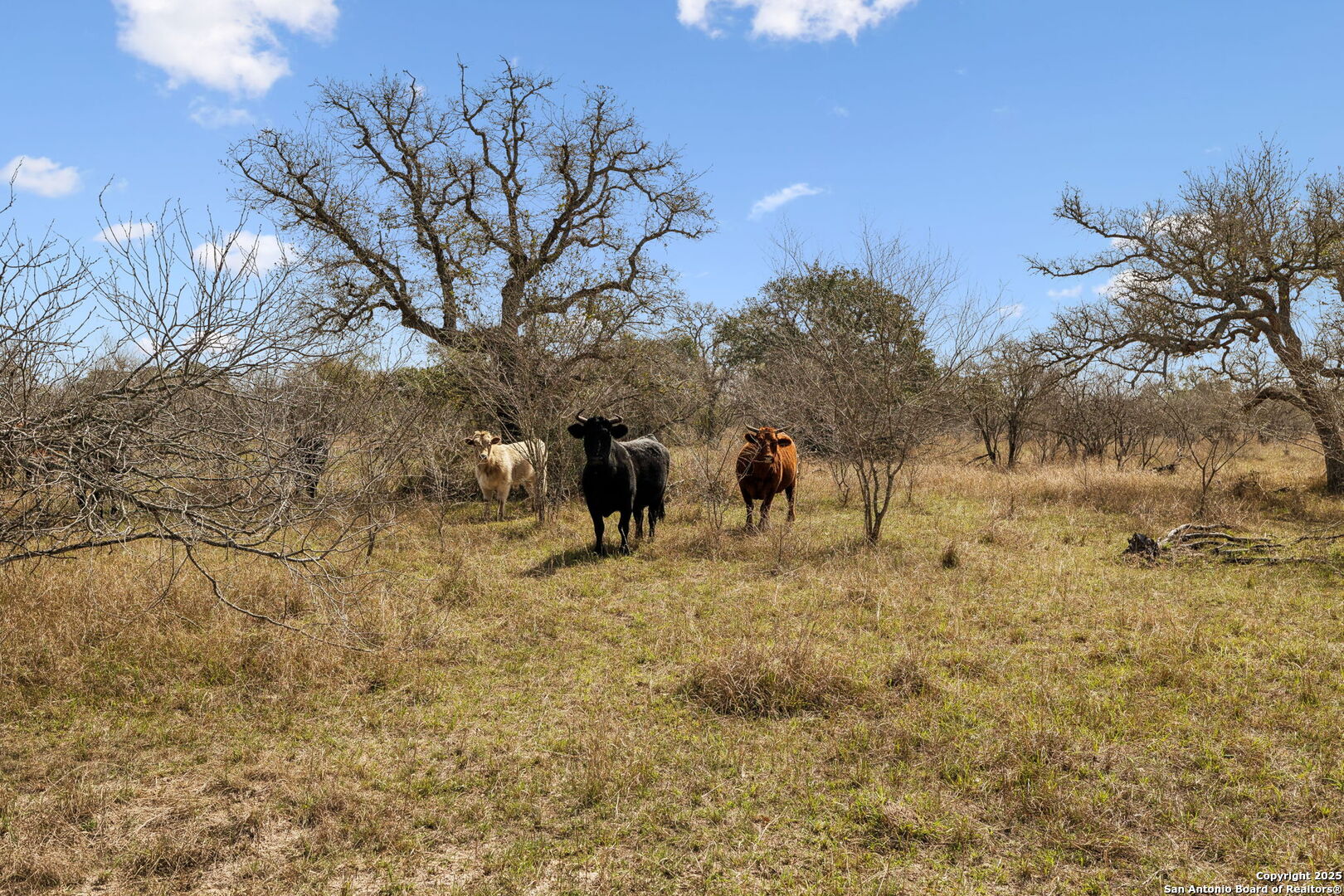 868 US Hwy 183