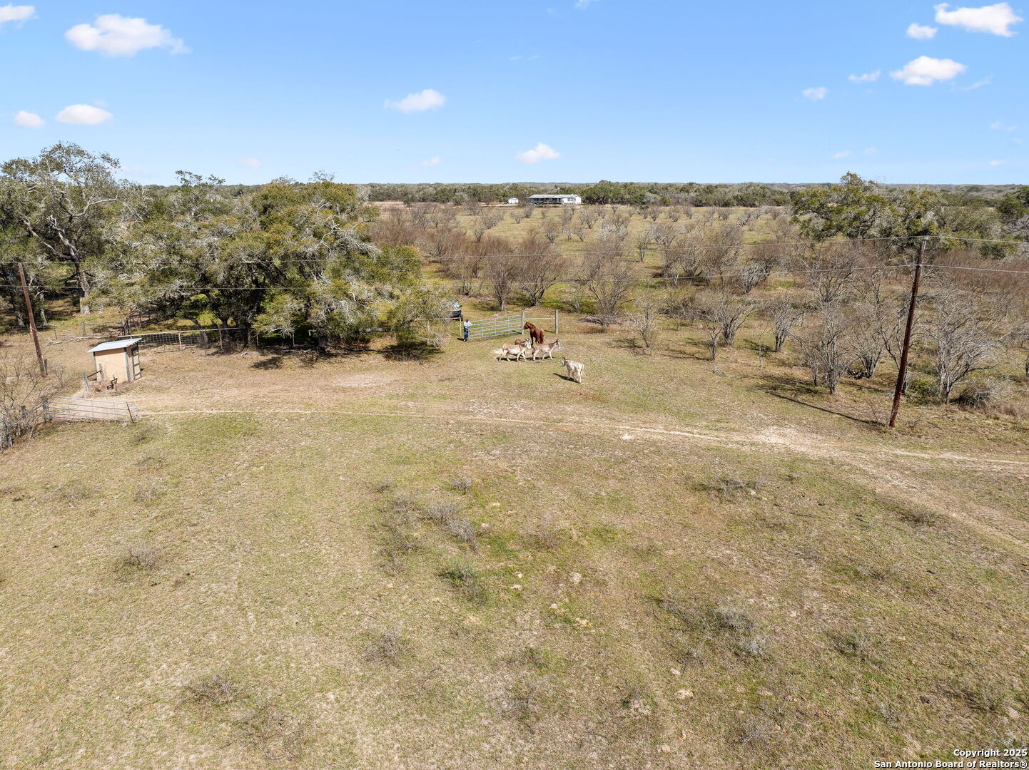 868 US Hwy 183